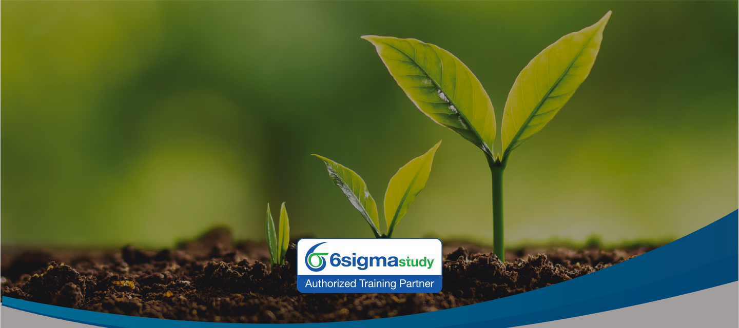 Cursos y certificaciones SixSigma