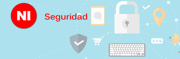 Seguridad en Internet