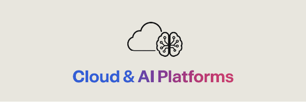 Cloud AI Platforms