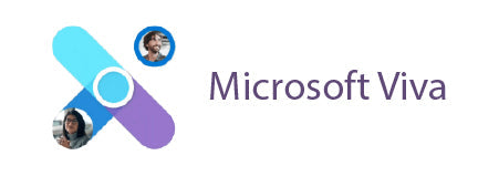 Managing and Configuring Microsoft Viva Themes– Nanfor